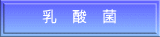 乳 酸 菌